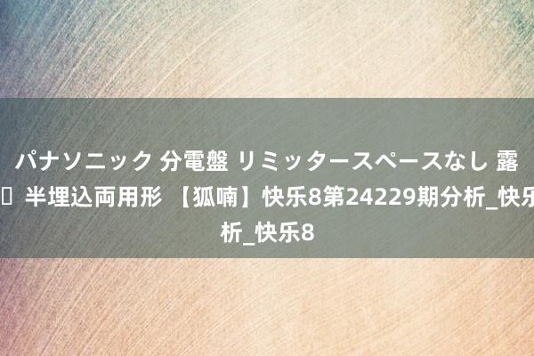 パナソニック 分電盤 リミッタースペースなし 露出・半埋込両用形 【狐喃】快乐8第24229期分析_快乐8