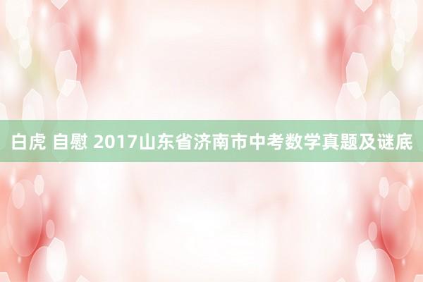 白虎 自慰 2017山东省济南市中考数学真题及谜底