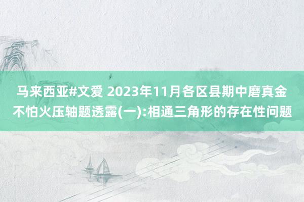 马来西亚#文爱 2023年11月各区县期中磨真金不怕火压轴题透露(一):相通三角形的存在性问题