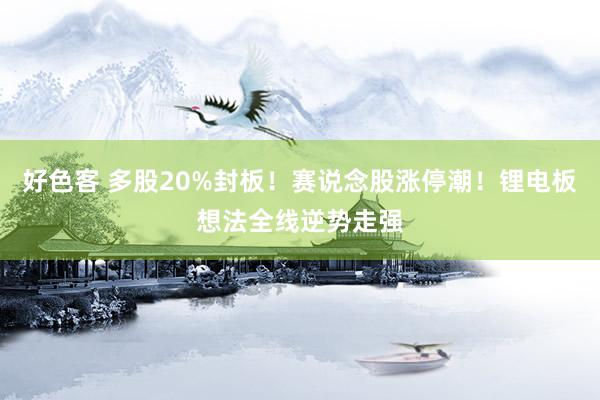 好色客 多股20%封板！赛说念股涨停潮！锂电板想法全线逆势走强