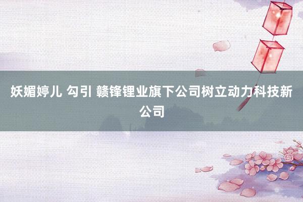 妖媚婷儿 勾引 赣锋锂业旗下公司树立动力科技新公司