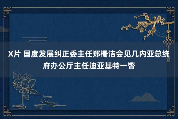 X片 国度发展纠正委主任郑栅洁会见几内亚总统府办公厅主任迪亚基特一瞥