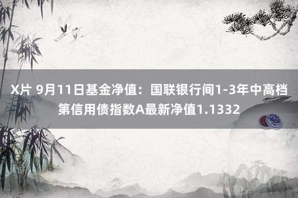 X片 9月11日基金净值：国联银行间1-3年中高档第信用债指数A最新净值1.1332