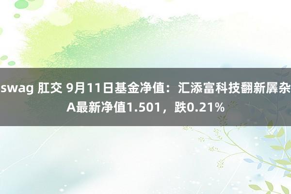 swag 肛交 9月11日基金净值：汇添富科技翻新羼杂A最新净值1.501，跌0.21%