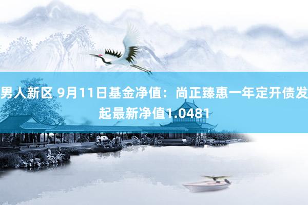 男人新区 9月11日基金净值：尚正臻惠一年定开债发起最新净值1.0481