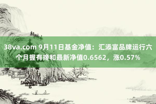 38va.com 9月11日基金净值：汇添富品牌运行六个月握有搀和最新净值0.6562，涨0.57%