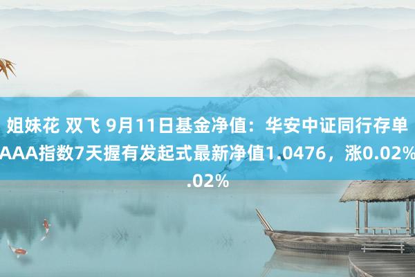 姐妹花 双飞 9月11日基金净值：华安中证同行存单AAA指数7天握有发起式最新净值1.0476，涨0.02%