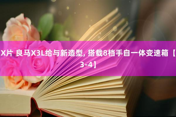 X片 良马X3L给与新造型， 搭载8档手自一体变速箱【3-4】