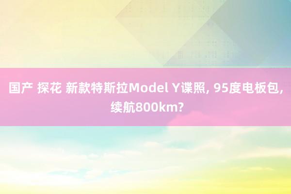 国产 探花 新款特斯拉Model Y谍照， 95度电板包， 续航800km?