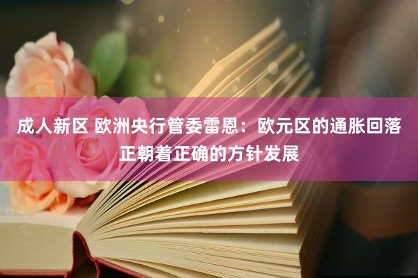 成人新区 欧洲央行管委雷恩：欧元区的通胀回落正朝着正确的方针发展