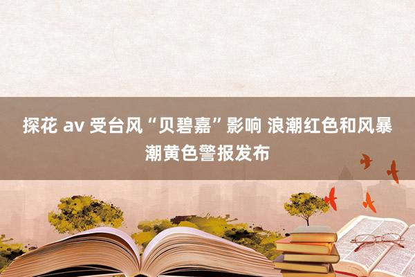 探花 av 受台风“贝碧嘉”影响 浪潮红色和风暴潮黄色警报发布