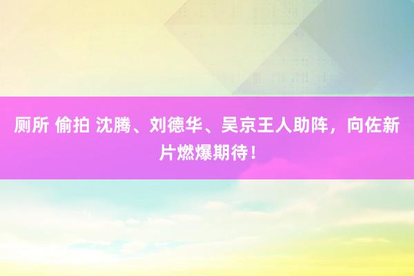 厕所 偷拍 沈腾、刘德华、吴京王人助阵，向佐新片燃爆期待！