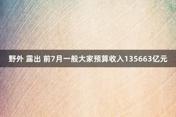 野外 露出 前7月一般大家预算收入135663亿元