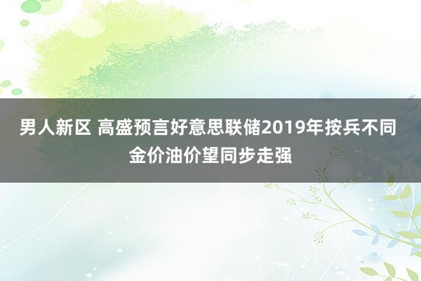 男人新区 高盛预言好意思联储2019年按兵不同 金价油价望同步走强