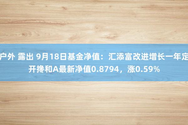 户外 露出 9月18日基金净值：汇添富改进增长一年定开搀和A最新净值0.8794，涨0.59%