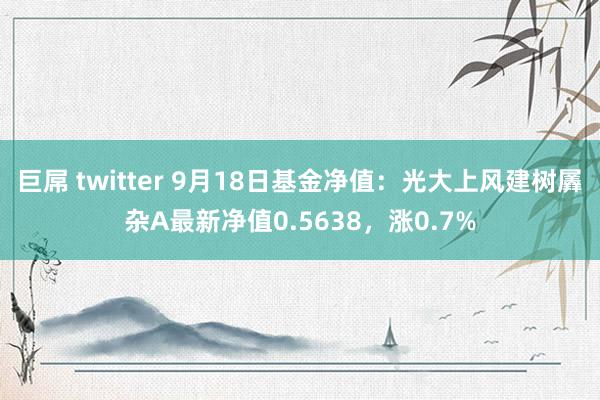 巨屌 twitter 9月18日基金净值：光大上风建树羼杂A最新净值0.5638，涨0.7%