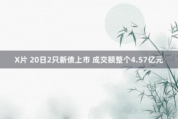 X片 20日2只新债上市 成交额整个4.57亿元