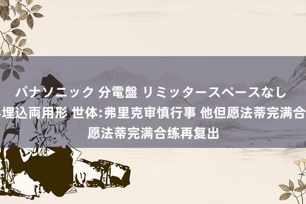 パナソニック 分電盤 リミッタースペースなし 露出・半埋込両用形 世体:弗里克审慎行事 他但愿法蒂完满合练再复出