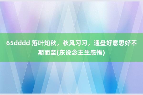 65dddd 落叶知秋，秋风习习，通盘好意思好不期而至(东说念主生感悟)