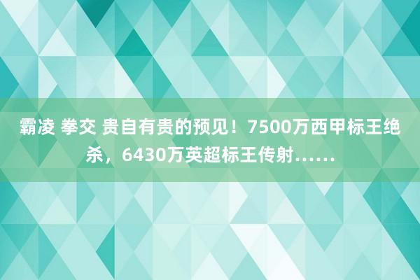 霸凌 拳交 贵自有贵的预见！7500万西甲标王绝杀，6430万英超标王传射……