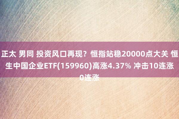 正太 男同 投资风口再现？恒指站稳20000点大关 恒生中国企业ETF(159960)高涨4.37% 冲击10连涨