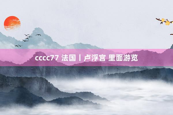 cccc77 法国丨卢浮宫 里面游览