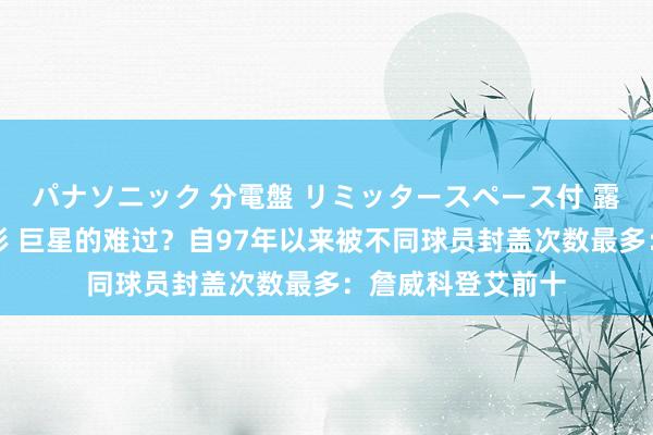 パナソニック 分電盤 リミッタースペース付 露出・半埋込両用形 巨星的难过？自97年以来被不同球员封盖次数最多：詹威科登艾前十