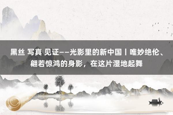 黑丝 写真 见证——光影里的新中国丨唯妙绝伦、翩若惊鸿的身影，在这片湿地起舞