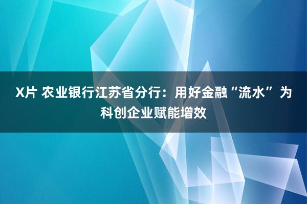 X片 农业银行江苏省分行：用好金融“流水” 为科创企业赋能增效