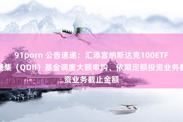 91porn 公告速递：汇添富纳斯达克100ETF发起式辘集（QDII）基金调度大额申购、依期定额投资业务截止金额