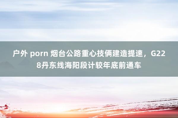 户外 porn 烟台公路重心技俩建造提速，G228丹东线海阳段计较年底前通车