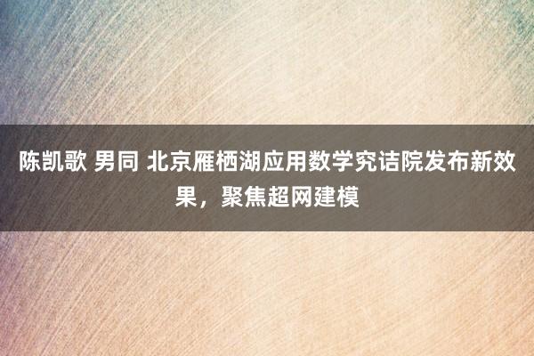 陈凯歌 男同 北京雁栖湖应用数学究诘院发布新效果，聚焦超网建模