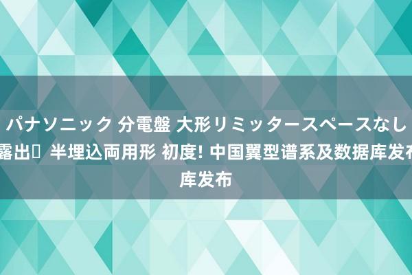 パナソニック 分電盤 大形リミッタースペースなし 露出・半埋込両用形 初度! 中国翼型谱系及数据库发布