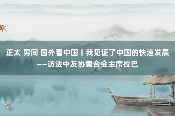 正太 男同 国外看中国丨我见证了中国的快速发展——访法中友协集合会主席拉巴