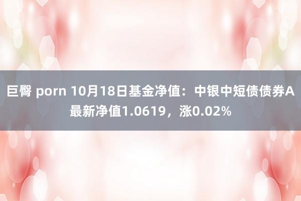 巨臀 porn 10月18日基金净值：中银中短债债券A最新净值1.0619，涨0.02%