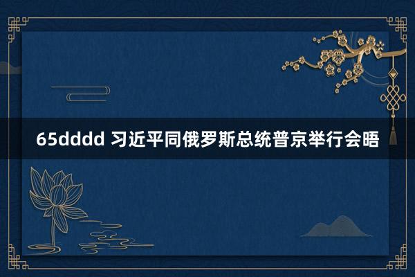 65dddd 习近平同俄罗斯总统普京举行会晤