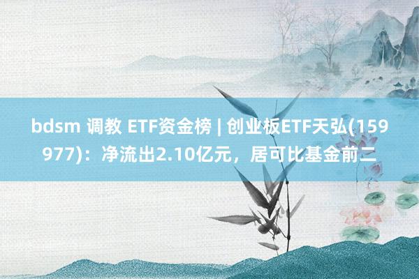 bdsm 调教 ETF资金榜 | 创业板ETF天弘(159977)：净流出2.10亿元，居可比基金前二