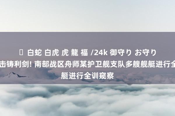 ✨白蛇 白虎 虎 龍 福 /24k 御守り お守り 踏浪出击铸利剑! 南部战区舟师某护卫舰支队多艘舰艇进行全训窥察