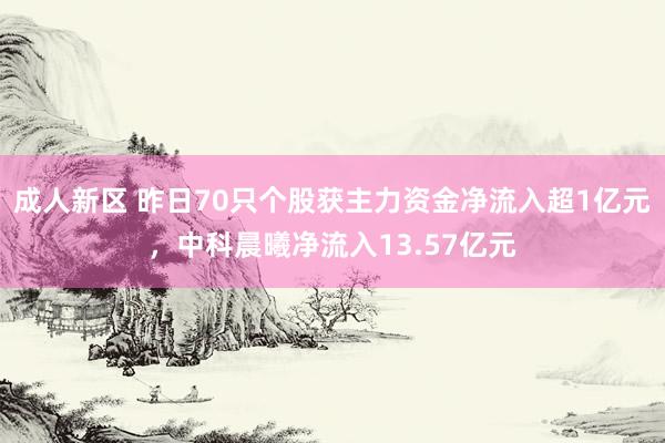 成人新区 昨日70只个股获主力资金净流入超1亿元，中科晨曦净流入13.57亿元