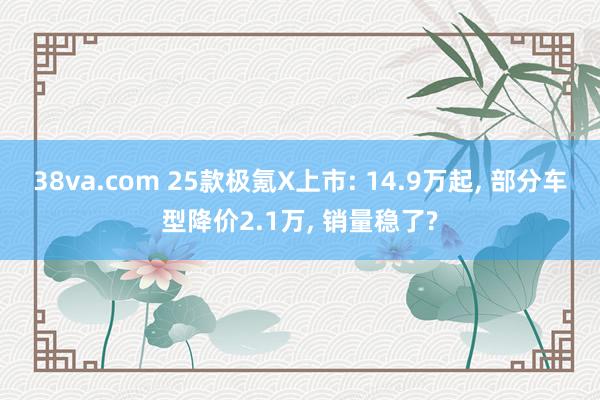 38va.com 25款极氪X上市: 14.9万起， 部分车型降价2.1万， 销量稳了?