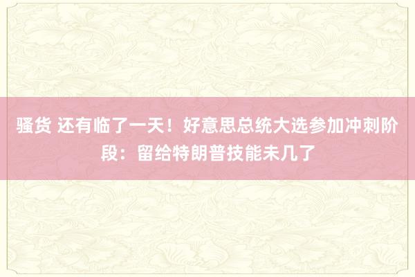 骚货 还有临了一天！好意思总统大选参加冲刺阶段：留给特朗普技能未几了