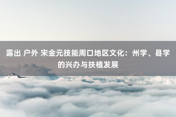 露出 户外 宋金元技能周口地区文化：州学、县学的兴办与扶植发展