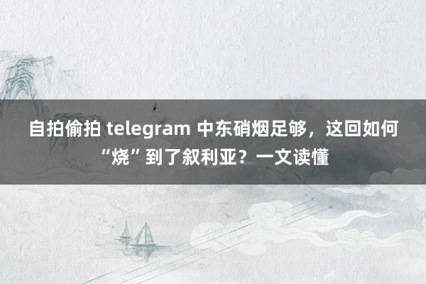 自拍偷拍 telegram 中东硝烟足够，这回如何“烧”到了叙利亚？一文读懂