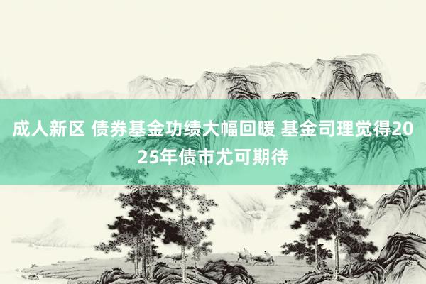 成人新区 债券基金功绩大幅回暖 基金司理觉得2025年债市尤可期待