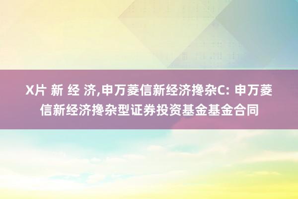 X片 新 经 济，申万菱信新经济搀杂C: 申万菱信新经济搀杂型证券投资基金基金合同