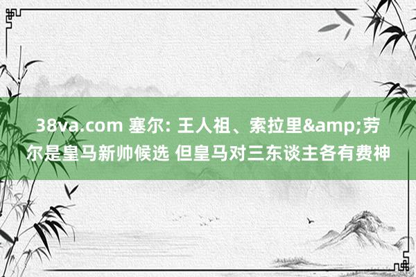 38va.com 塞尔: 王人祖、索拉里&劳尔是皇马新帅候选 但皇马对三东谈主各有费神