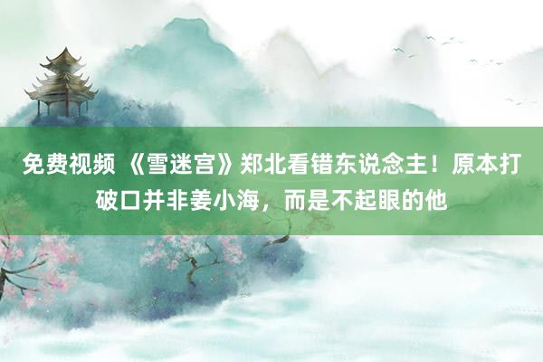 免费视频 《雪迷宫》郑北看错东说念主！原本打破口并非姜小海，而是不起眼的他