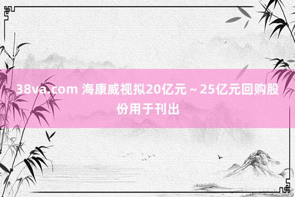 38va.com 海康威视拟20亿元～25亿元回购股份用于刊出