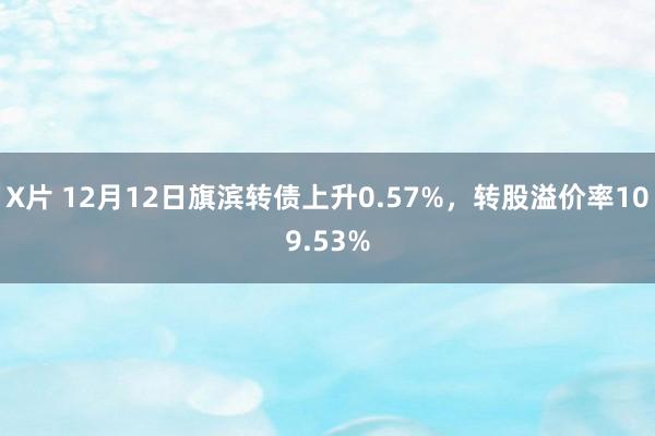 X片 12月12日旗滨转债上升0.57%，转股溢价率109.53%