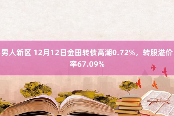 男人新区 12月12日金田转债高潮0.72%，转股溢价率67.09%